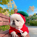 Cute Fruit Hoodie – Warm Winter Clothes for Small Dogs