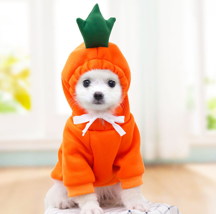 Cute Fruit Hoodie – Warm Winter Clothes for Small Dogs