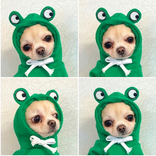 Cute Fruit Hoodie – Warm Winter Clothes for Small Dogs