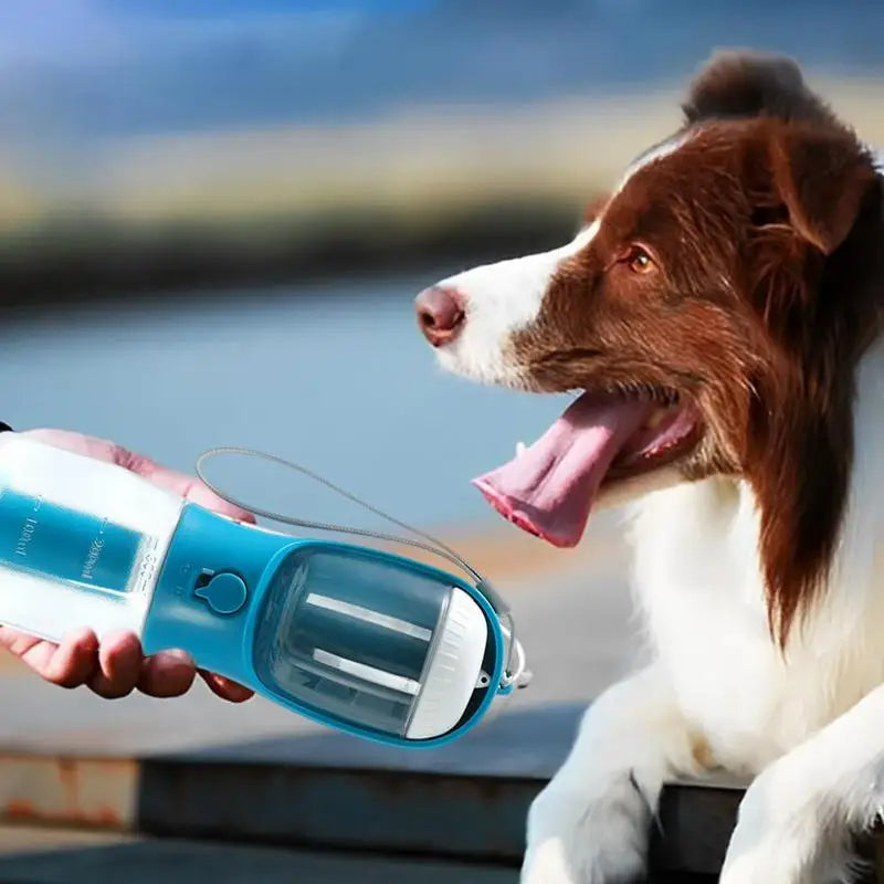 3-in-1 Portable Dog Water & Food Cup – Pet Supplies