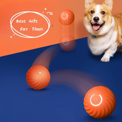 Pet Dog Rubber Ball Toys – Durable, Bite-Resistant Chew Toys for Puppy Training