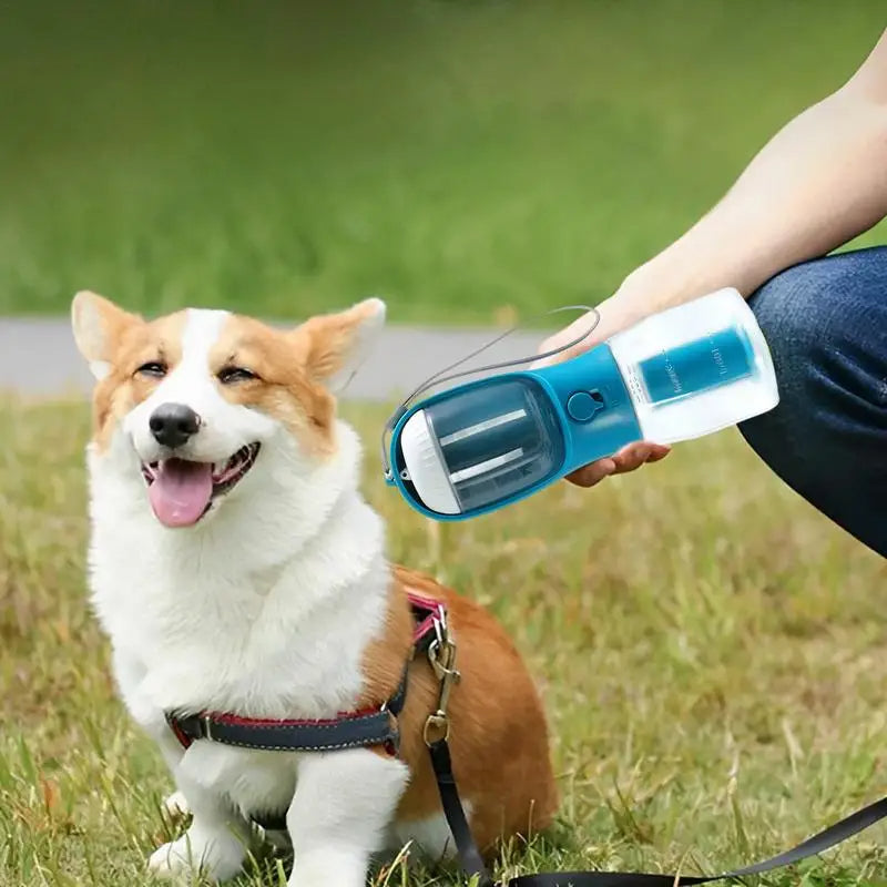3-in-1 Portable Dog Water & Food Cup – Pet Supplies