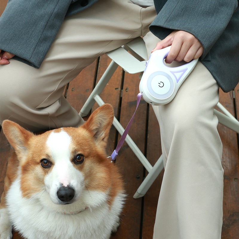 Retractable Dog Leash & Collar – Automatic Traction Rope