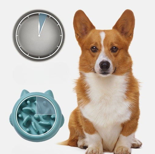 Slow Feeder Bowl for Dogs & Cats – Anti-Choke