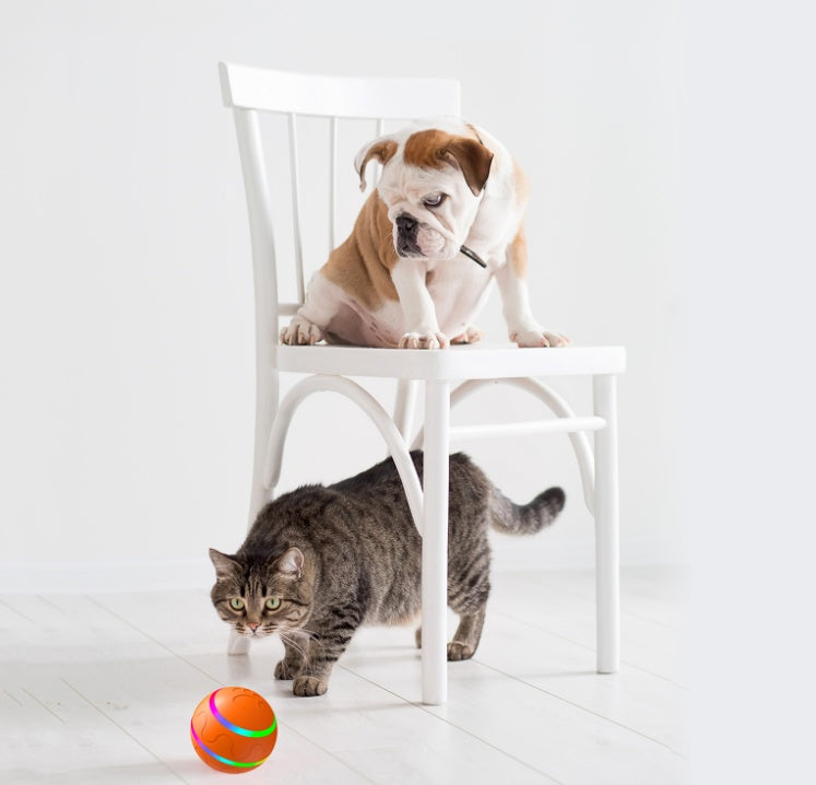 USB Self-Rotating Cat Ball – Intelligent Toy