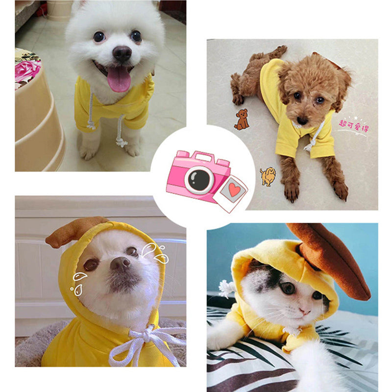 Cute Fruit Hoodie – Warm Winter Clothes for Small Dogs