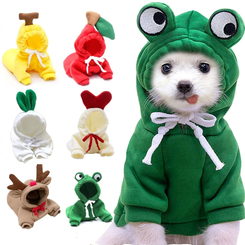 Cute Fruit Hoodie – Warm Winter Clothes for Small Dogs