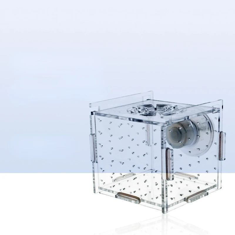 Acrylic Aquarium Isolation Box – Fish Fry Incubator & Breeding Tank