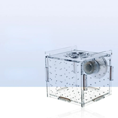 Acrylic Aquarium Isolation Box – Fish Fry Incubator & Breeding Tank