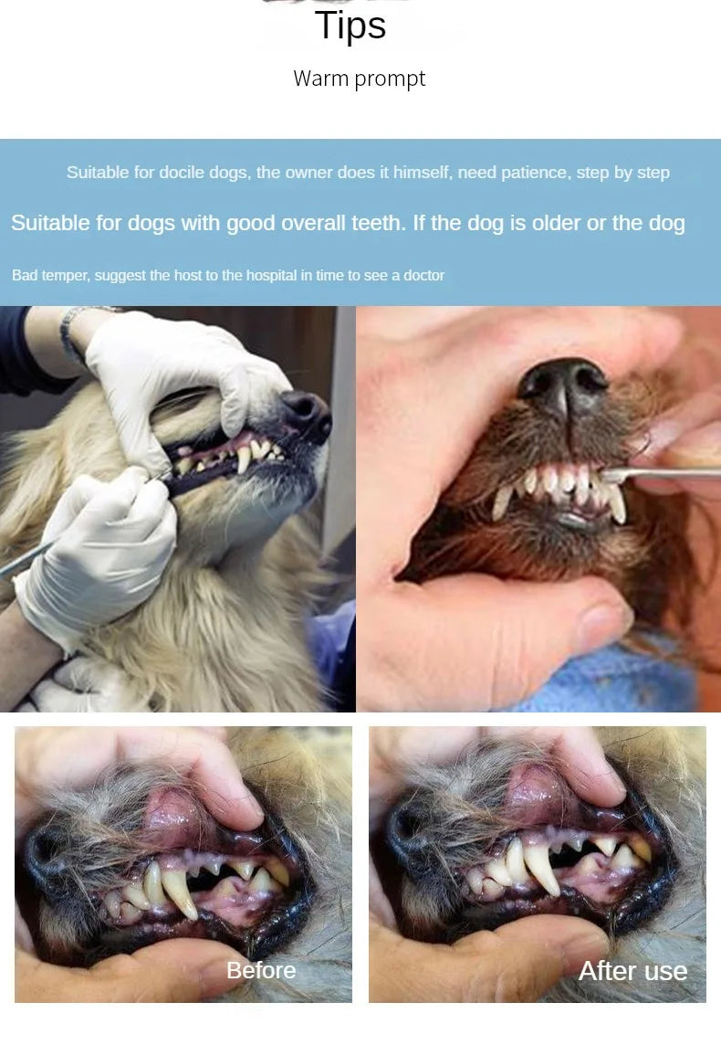Stainless Steel Pet Tooth Cleaning Tool – Dental Care Set for Dogs & Cats, Removes Tartar & Stains