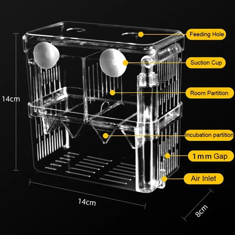 Acrylic Fish Breeder Box – Double Chamber Guppy Hatchery