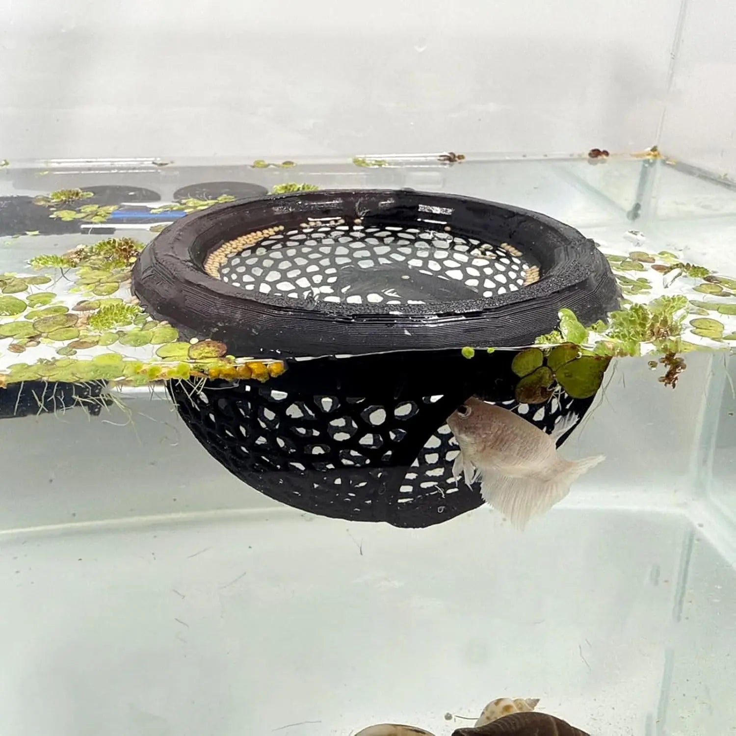 3-in-1 Aquarium Floating Cave – Fish & Shrimp Hideout & Feeding Ring