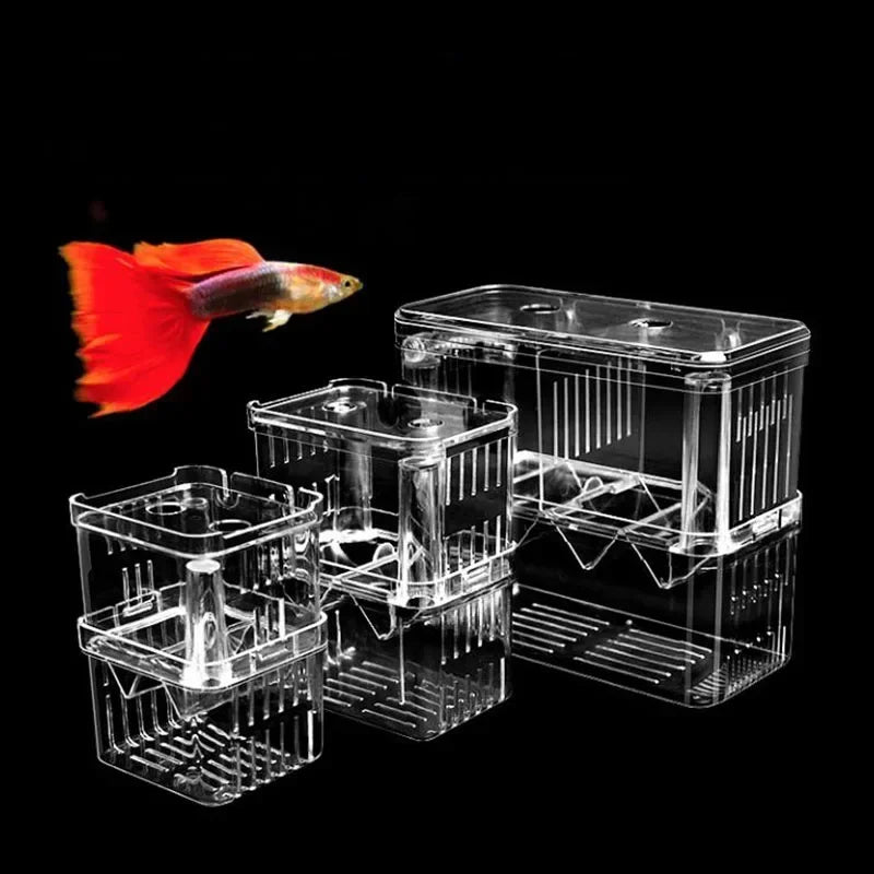 Acrylic Fish Breeder Box – Double Chamber Guppy Hatchery