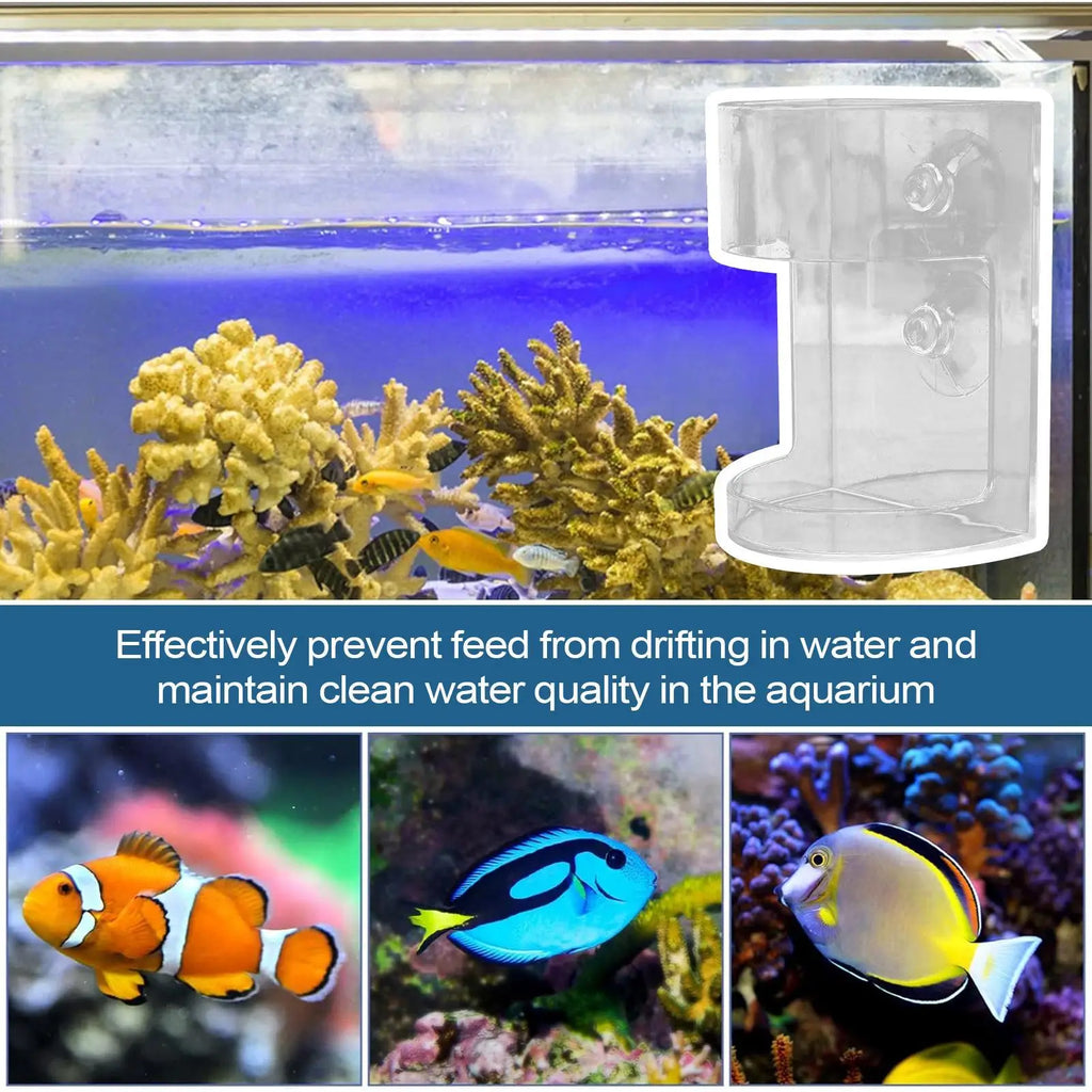 Non-Slip Aquarium Feeder Ring Fish Feeding Supplies Transparent Fish Feeding Dish Floating Food Feeder Square for Fish Tank