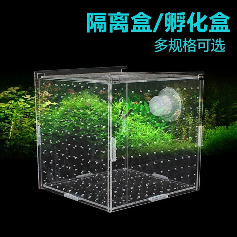 Acrylic Aquarium Isolation Box – Fish Fry Incubator & Breeding Tank
