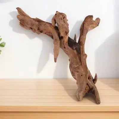 Natural Dead-Wood Fish Tank Decor for Aquarium Landscape Design Freshwater Saltwater Tanks Reptile Climbing Ornament 20-25Cm