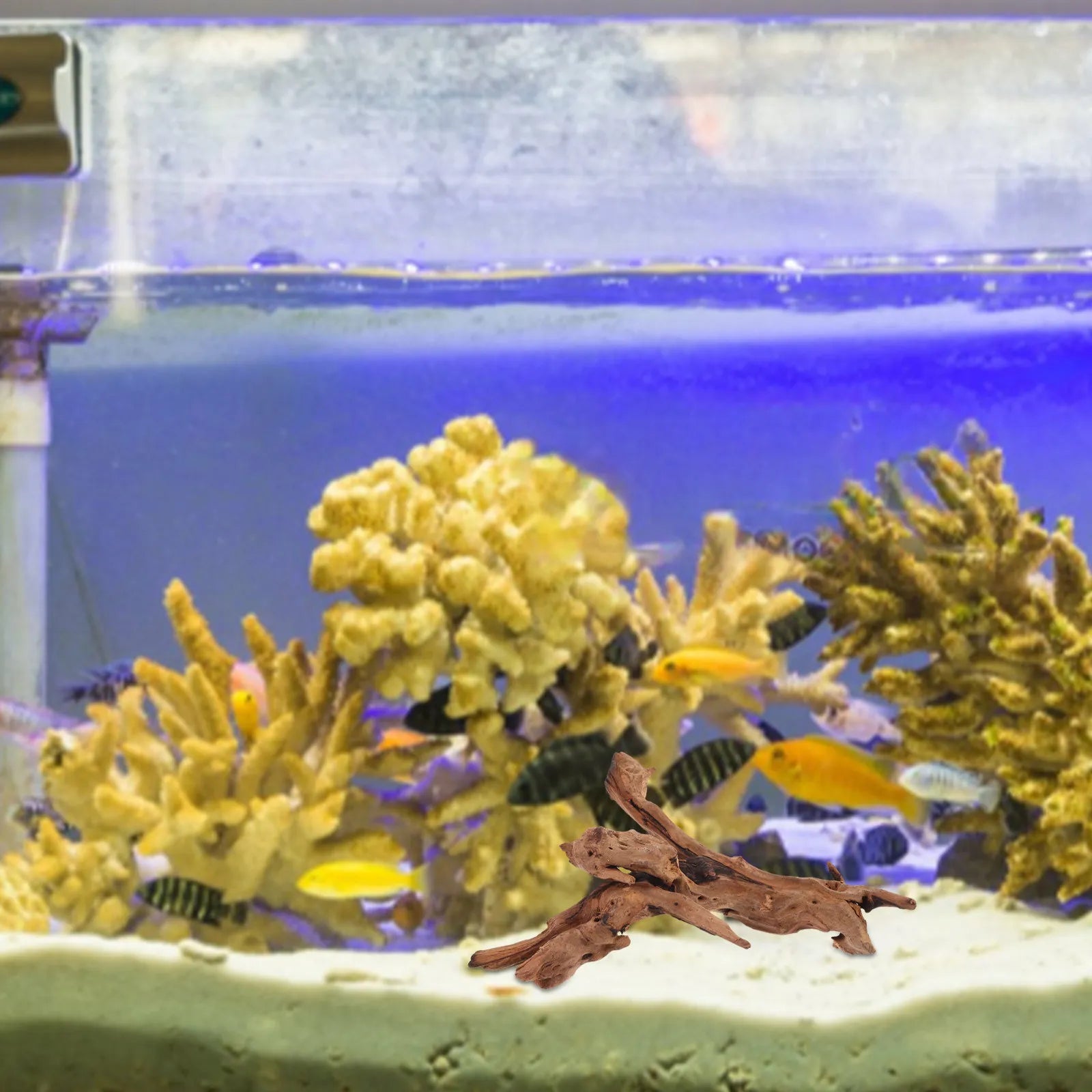 Natural Dead-Wood Fish Tank Decor for Aquarium Landscape Design Freshwater Saltwater Tanks Reptile Climbing Ornament 20-25Cm