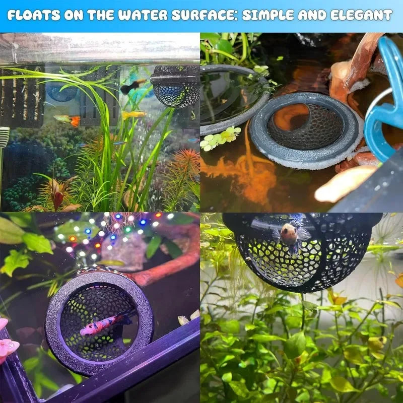 3-in-1 Aquarium Floating Cave – Fish & Shrimp Hideout & Feeding Ring