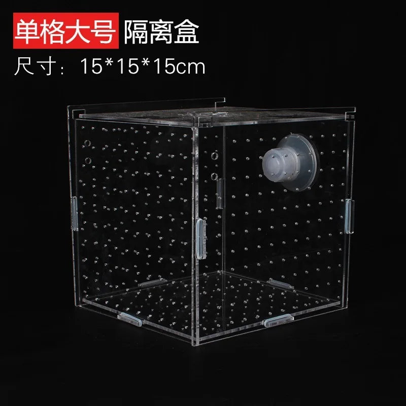 Acrylic Aquarium Isolation Box – Fish Fry Incubator & Breeding Tank