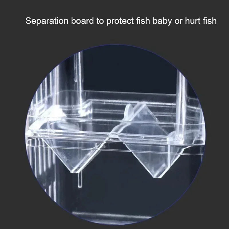 Acrylic Fish Breeder Box – Double Chamber Guppy Hatchery
