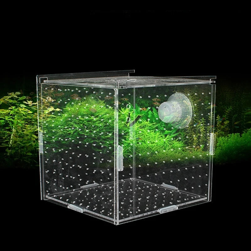 Acrylic Aquarium Isolation Box – Fish Fry Incubator & Breeding Tank