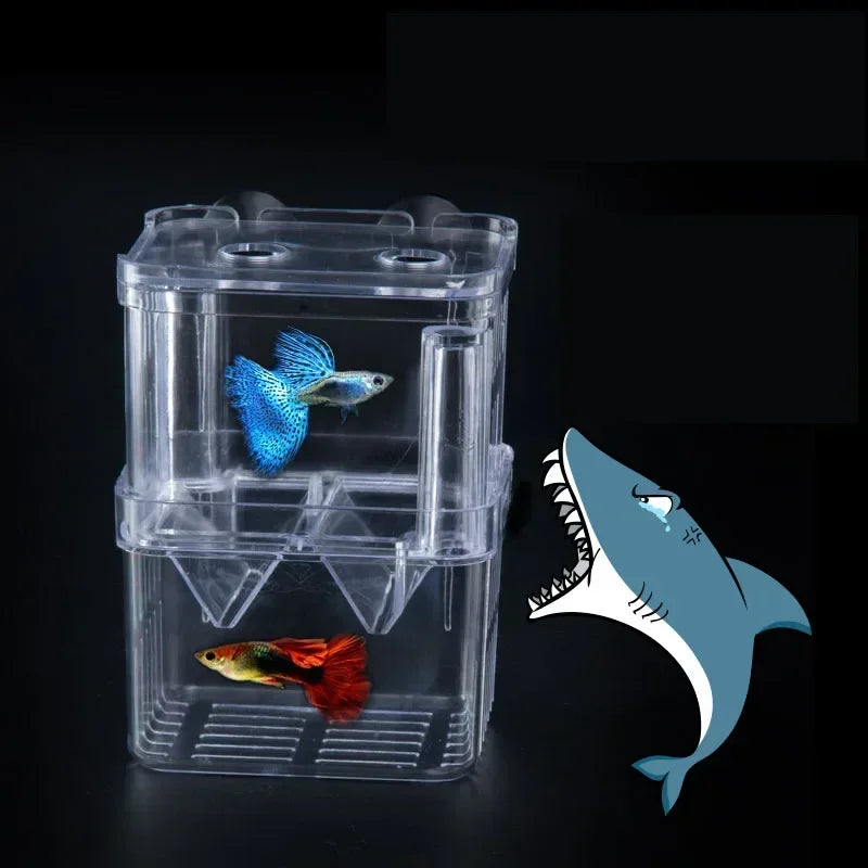 Acrylic Fish Breeder Box – Double Chamber Guppy Hatchery