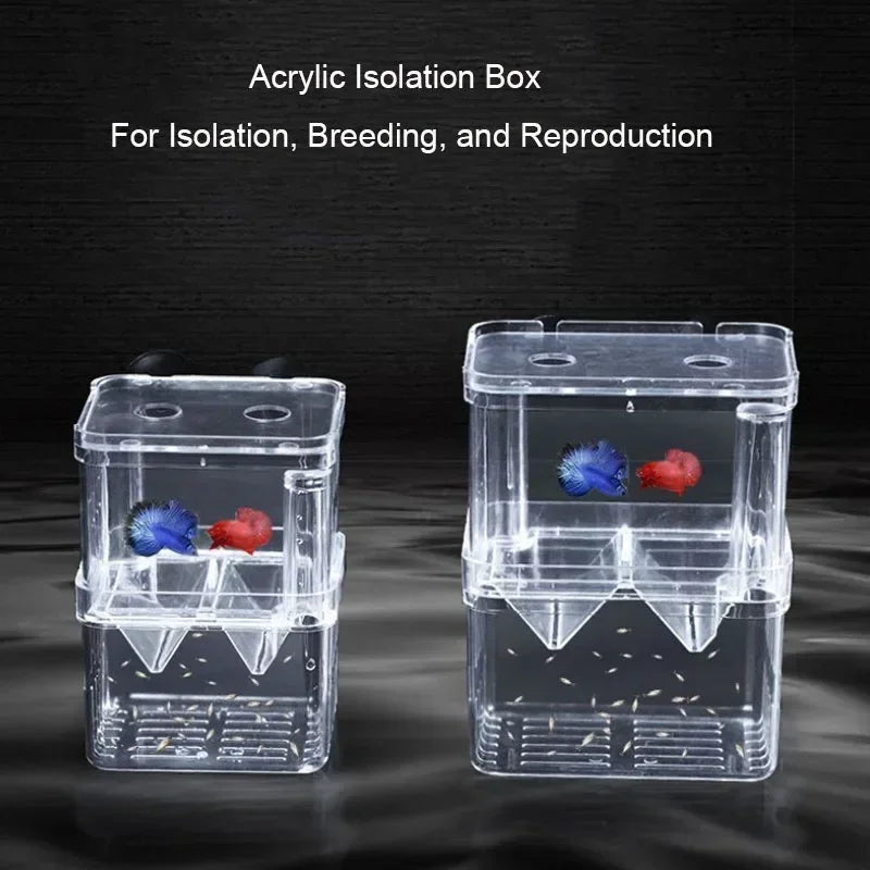 Acrylic Fish Breeder Box – Double Chamber Guppy Hatchery