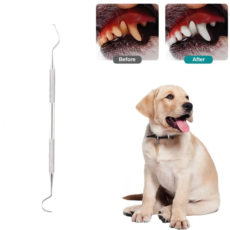 Stainless Steel Pet Tooth Cleaning Tool – Dental Care Set for Dogs & Cats, Removes Tartar & Stains