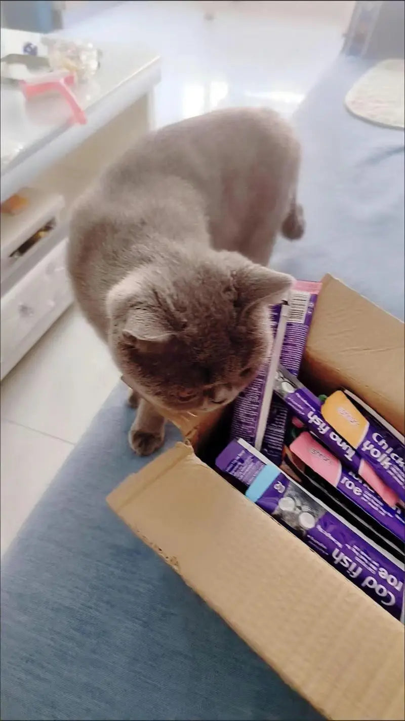 Mixed Flavor Cat Snacks – 30 Liquid Strips with Abalone, Beef, Cod & Salmon