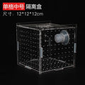 Acrylic Aquarium Isolation Box – Fish Fry Incubator & Breeding Tank