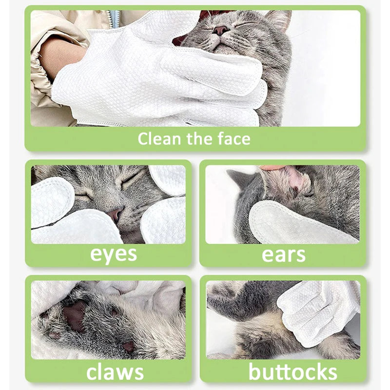 Pet Cleaning Gloves – 6pcs for Dogs & Cats, Dry & Wet Use