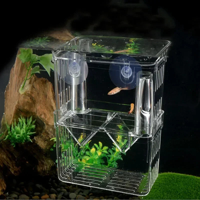 Acrylic Fish Breeder Box – Double Chamber Guppy Hatchery