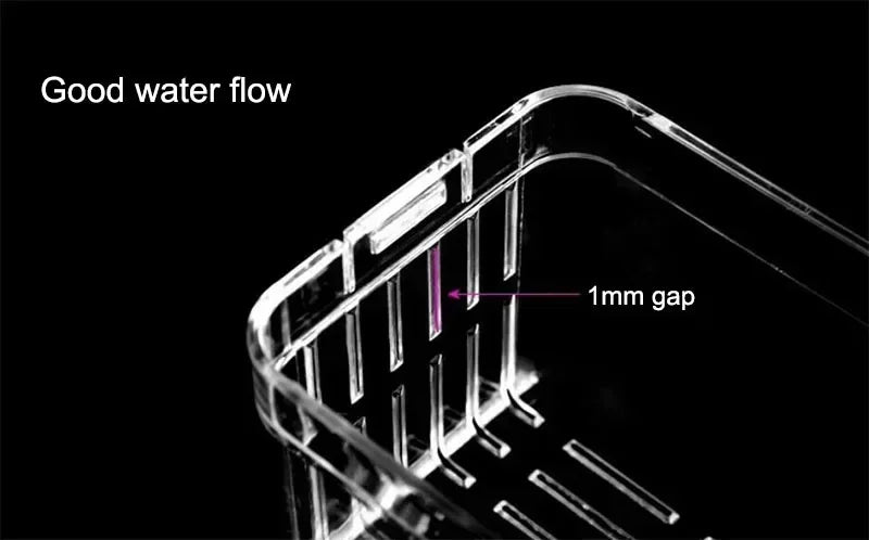 Acrylic Fish Breeder Box – Double Chamber Guppy Hatchery