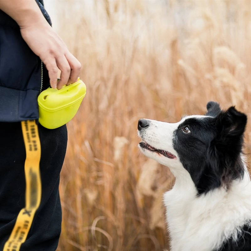 Portable Dog Training Waist Bag – Treat & Reward Pouch