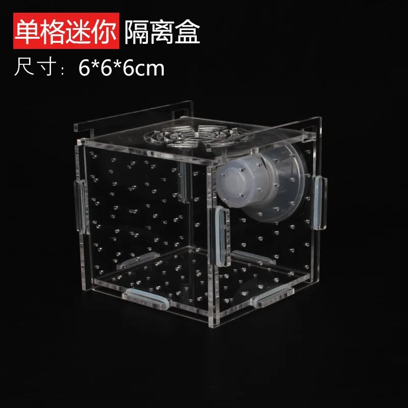 Acrylic Aquarium Isolation Box – Fish Fry Incubator & Breeding Tank