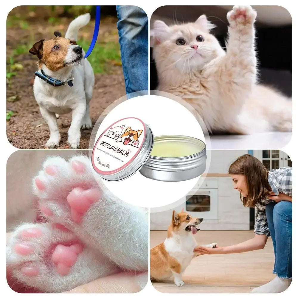 Paw Balm for Cats & Dogs – 50g Protective & Moisturizing Cream