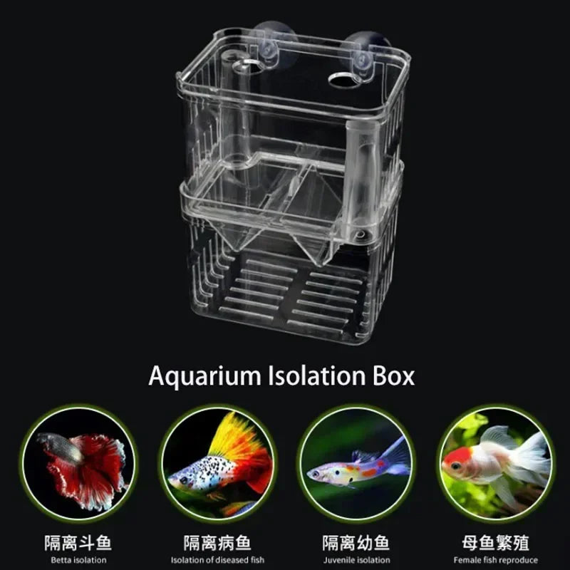 Acrylic Fish Breeder Box – Double Chamber Guppy Hatchery