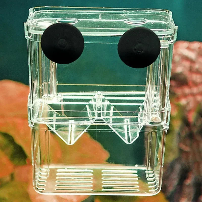 Acrylic Fish Breeder Box – Double Chamber Guppy Hatchery