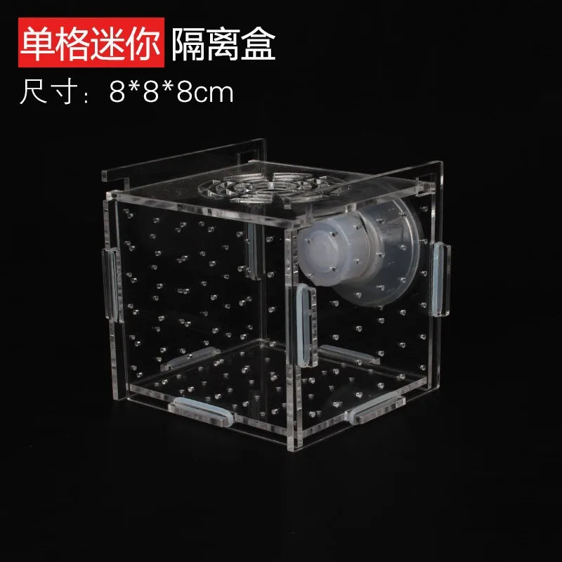 Acrylic Aquarium Isolation Box – Fish Fry Incubator & Breeding Tank