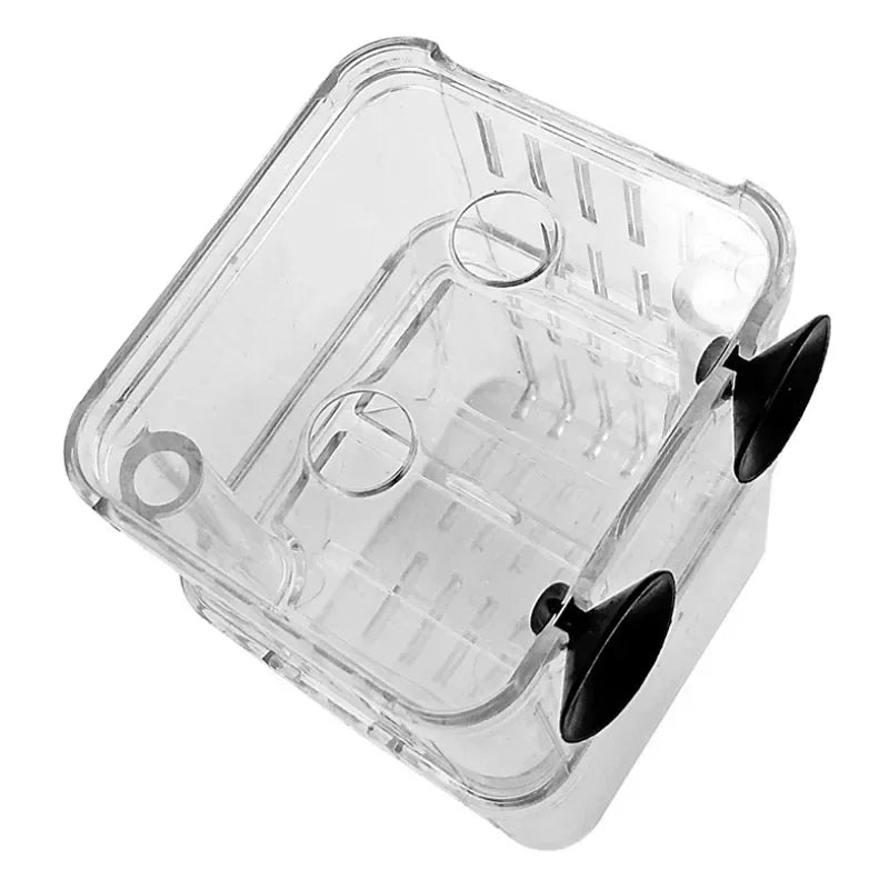 Acrylic Fish Breeder Box – Double Chamber Guppy Hatchery