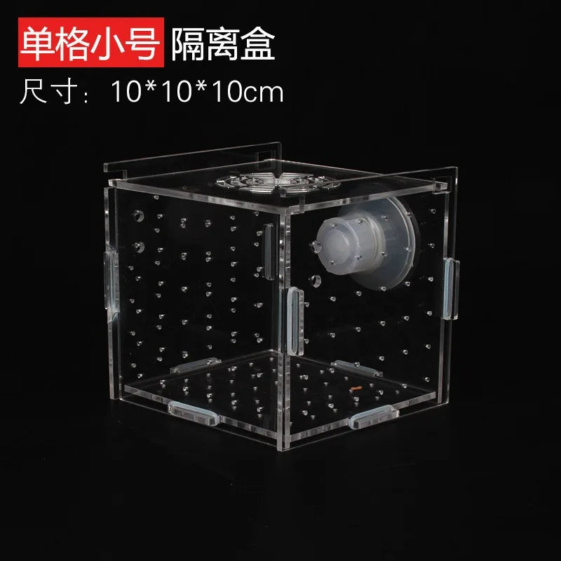 Acrylic Aquarium Isolation Box – Fish Fry Incubator & Breeding Tank