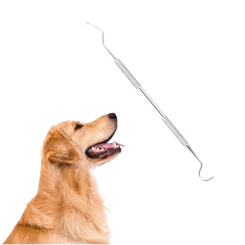 Stainless Steel Pet Tooth Cleaning Tool – Dental Care Set for Dogs & Cats, Removes Tartar & Stains