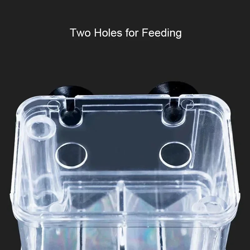 Acrylic Fish Breeder Box – Double Chamber Guppy Hatchery