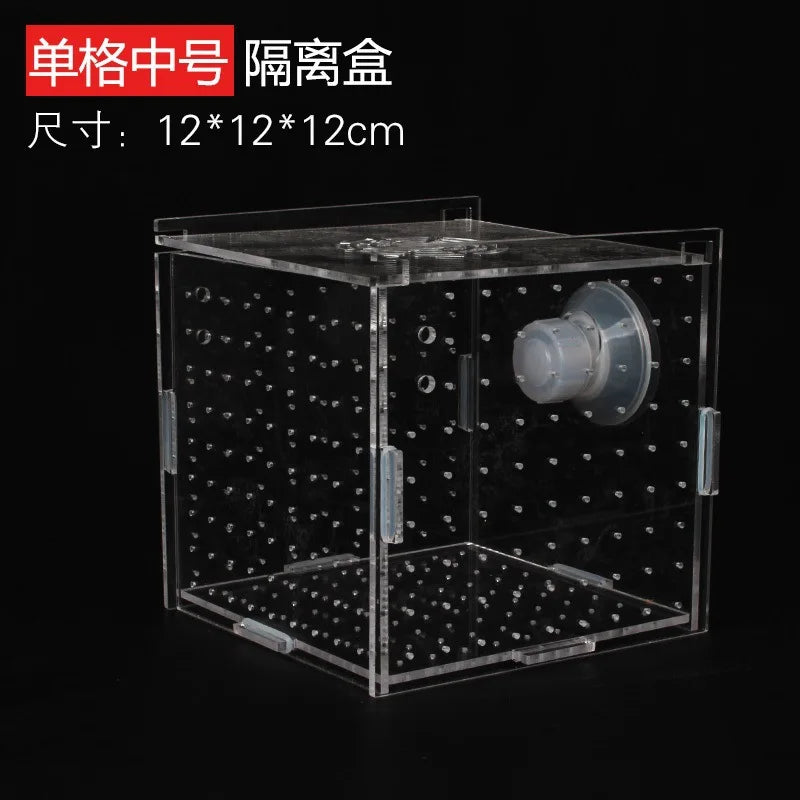 Acrylic Aquarium Isolation Box – Fish Fry Incubator & Breeding Tank