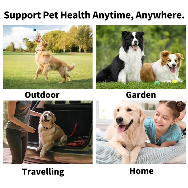 Disposable Finger Toothbrush & Oral Wipes – Dogs & Cats