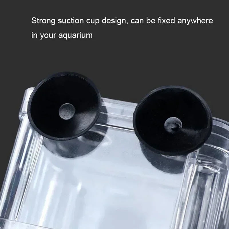 Acrylic Fish Breeder Box – Double Chamber Guppy Hatchery