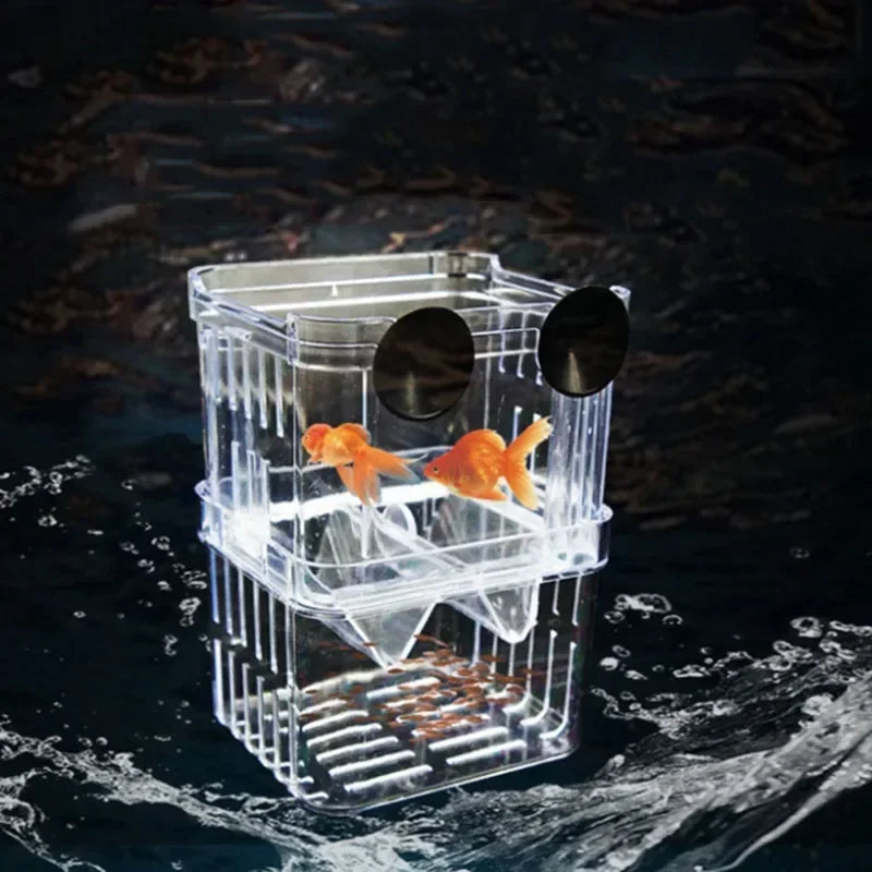 Acrylic Fish Breeder Box – Double Chamber Guppy Hatchery