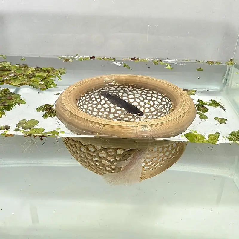 3-in-1 Aquarium Floating Cave – Fish & Shrimp Hideout & Feeding Ring