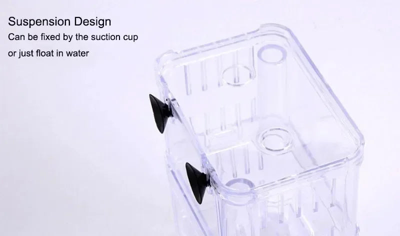 Acrylic Fish Breeder Box – Double Chamber Guppy Hatchery