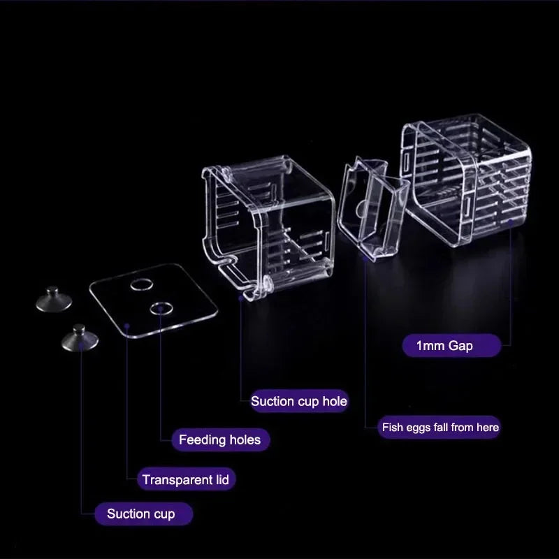 Acrylic Fish Breeder Box – Double Chamber Guppy Hatchery